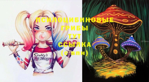 MDMA Дмитровск