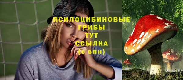 MDMA Дмитровск