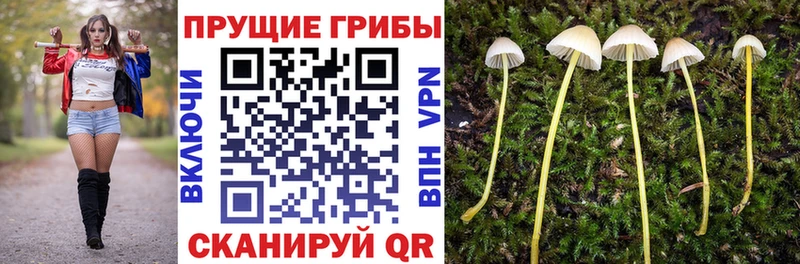 Псилоцибиновые грибы мухоморы  Ярославль 